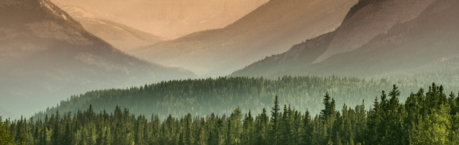 reservatiob-featured