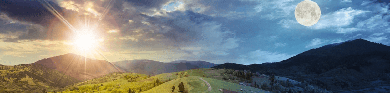 Main picture LP page