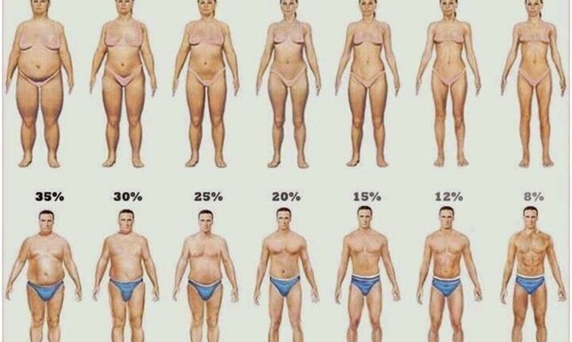 Защо се увеличава процентът на мазнините?
