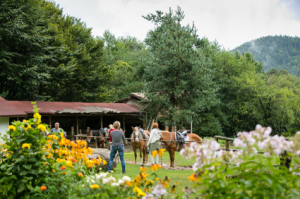 Ето как да отслабнете трайно без тормоз и стрес!