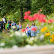 [:bg]Разходка сред планински цветя[:en]A walk among mountain flowers[:]