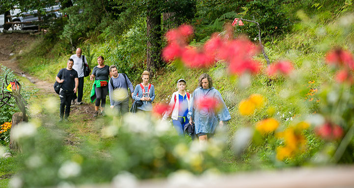 [:bg]Разходка сред планински цветя[:en]A walk among mountain flowers[:]