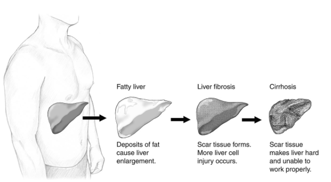 Диета без йо-йо ефект - защо и как да задържим постигнатите резултати