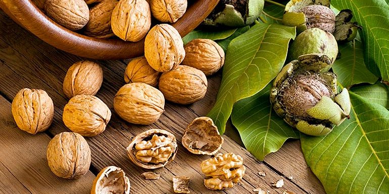 [:bg]Полезни мазнини от орехи[:en]Useful fats from walnuts[:] | LuckyFit