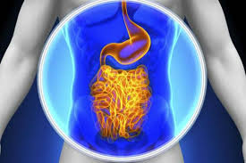 Токсини в човешкото тяло