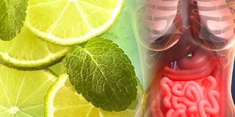 Снимка на природата в Индия | LuckyFit