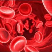 [:bg][:en]Blood purification[:]