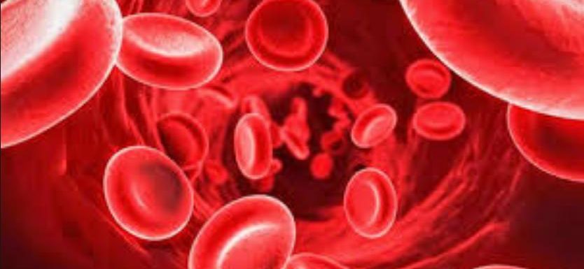 [:bg][:en]Blood purification[:]