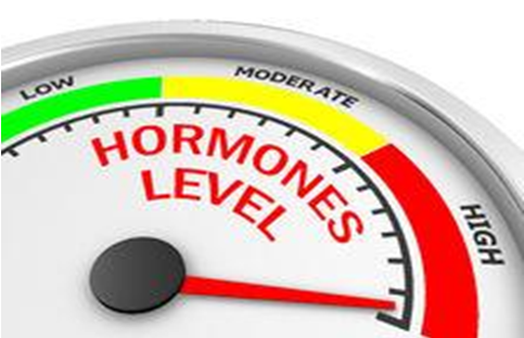 Метаболизмът и отслабването 