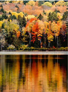 Детокс през четирите сезона