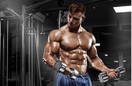 Тренировка за цялото тяло или разделянето й на мускулни групи?