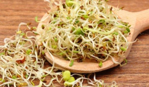 10 суперхрани за по-добър живот и здраве