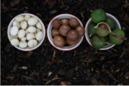 15 суперхрани за по-добър живот и по-крепко здраве