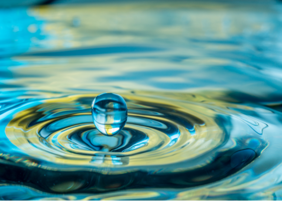 По колко вода трябва да пием на ден и по кое време да я приемаме?