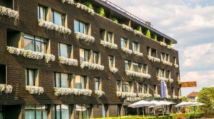 Einkorn - a healthy substitute for wheat