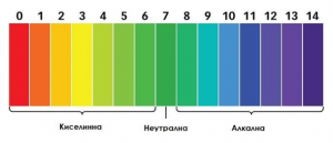 Детокс с алкална вода?