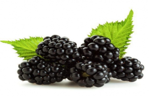 Горски плодове за детокс на черния дроб