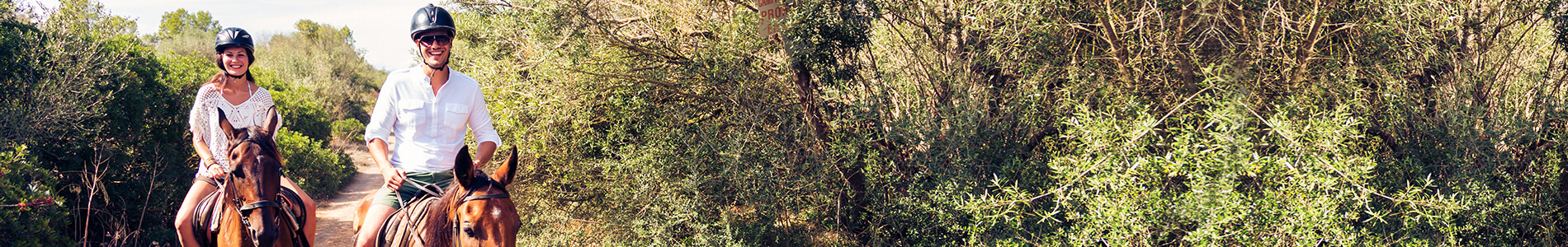 Main picture LP page