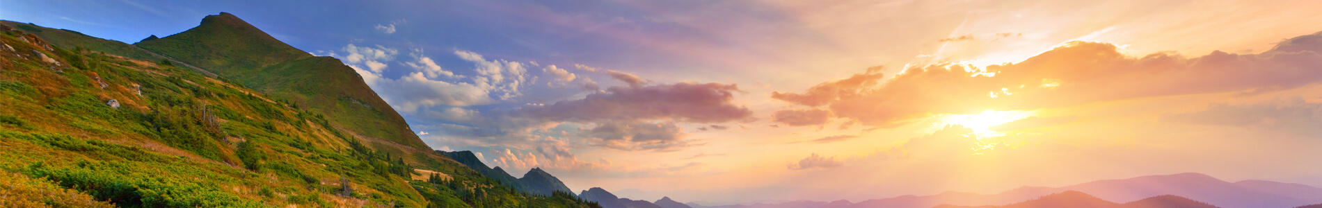 Main picture LP page