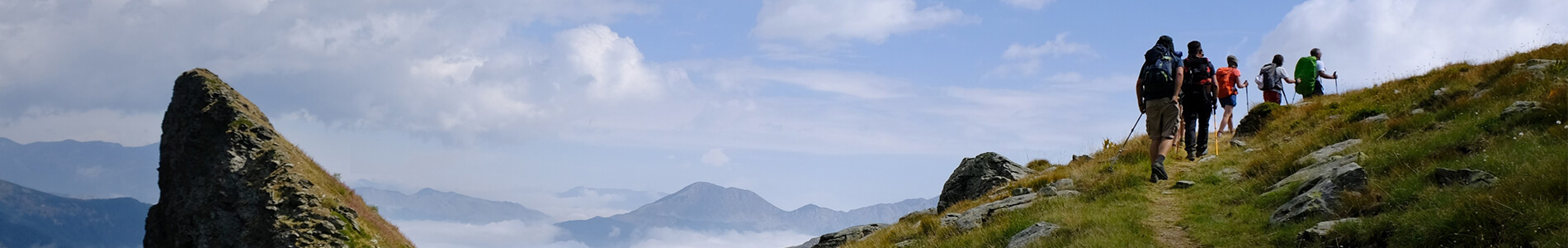 Main picture LP page