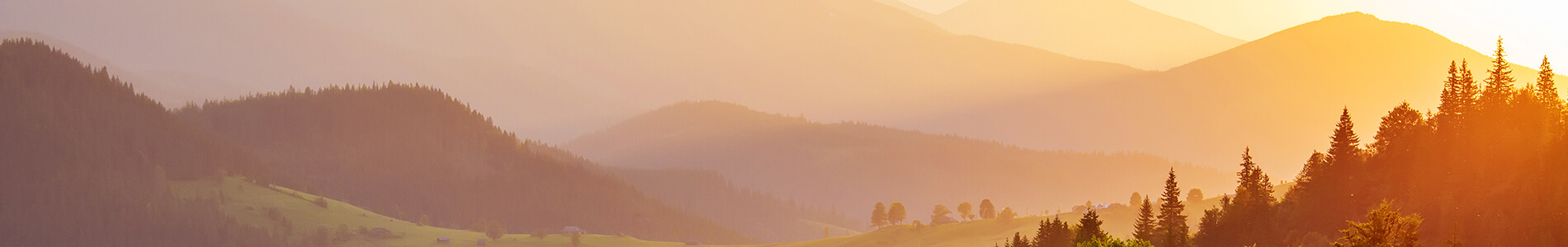 Main picture LP page