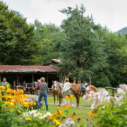 Отслабване с тестени изделия