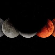 What is a Moon Diet and How to Follow It?