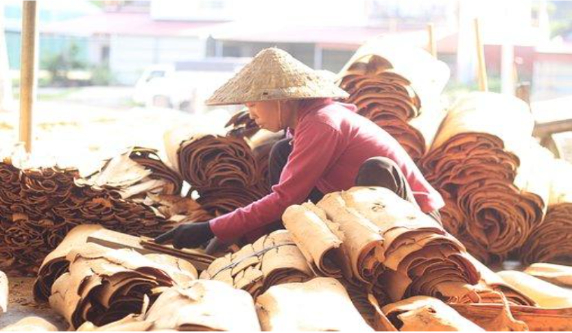 Канела за детоксикация