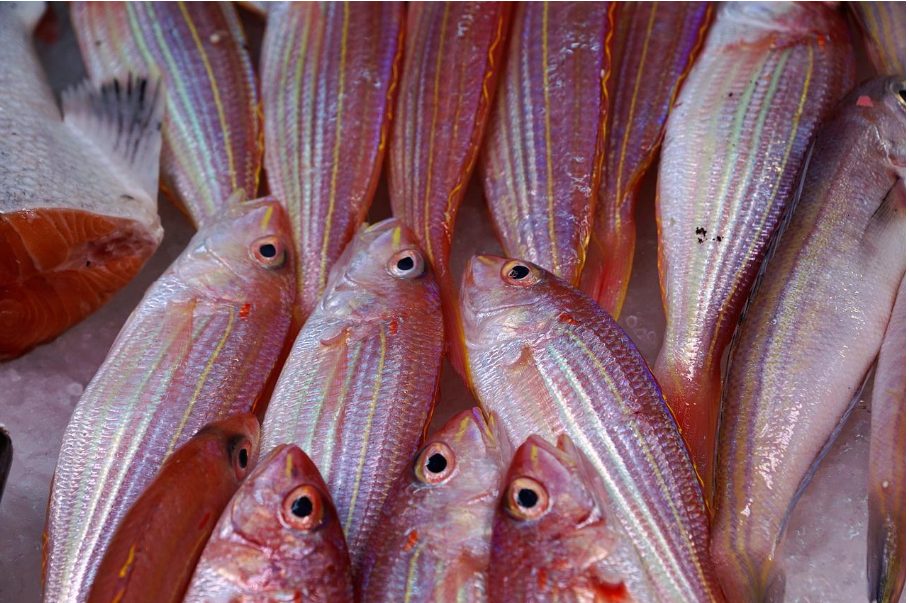 Видовете месо като част от здравословното отслабване