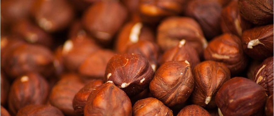 Видовете ядки при здравословното отслабване