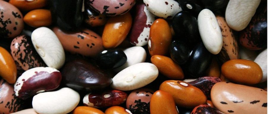 Фасул и бобови растения при здравословното отслабване
