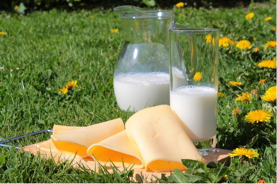 Протеините при отслабването