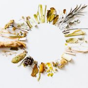 Какво е холистична медицина - видове, подходи и ползи