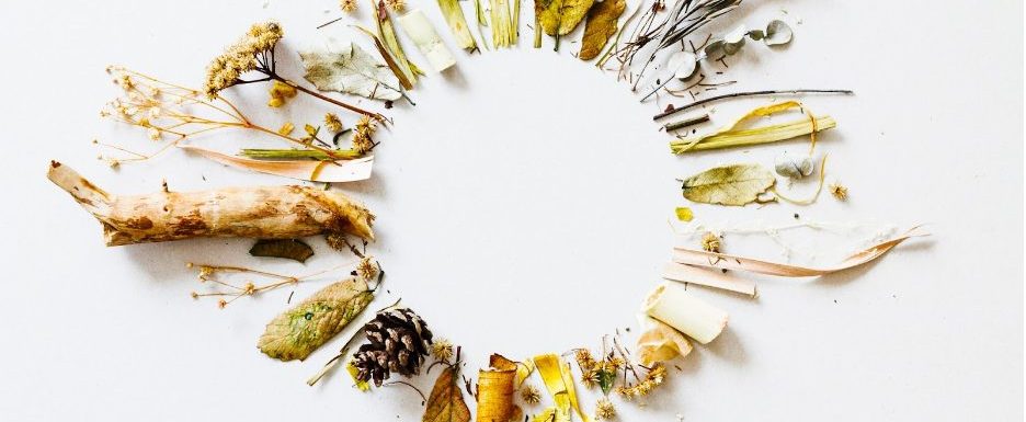 Какво е холистична медицина - видове, подходи и ползи